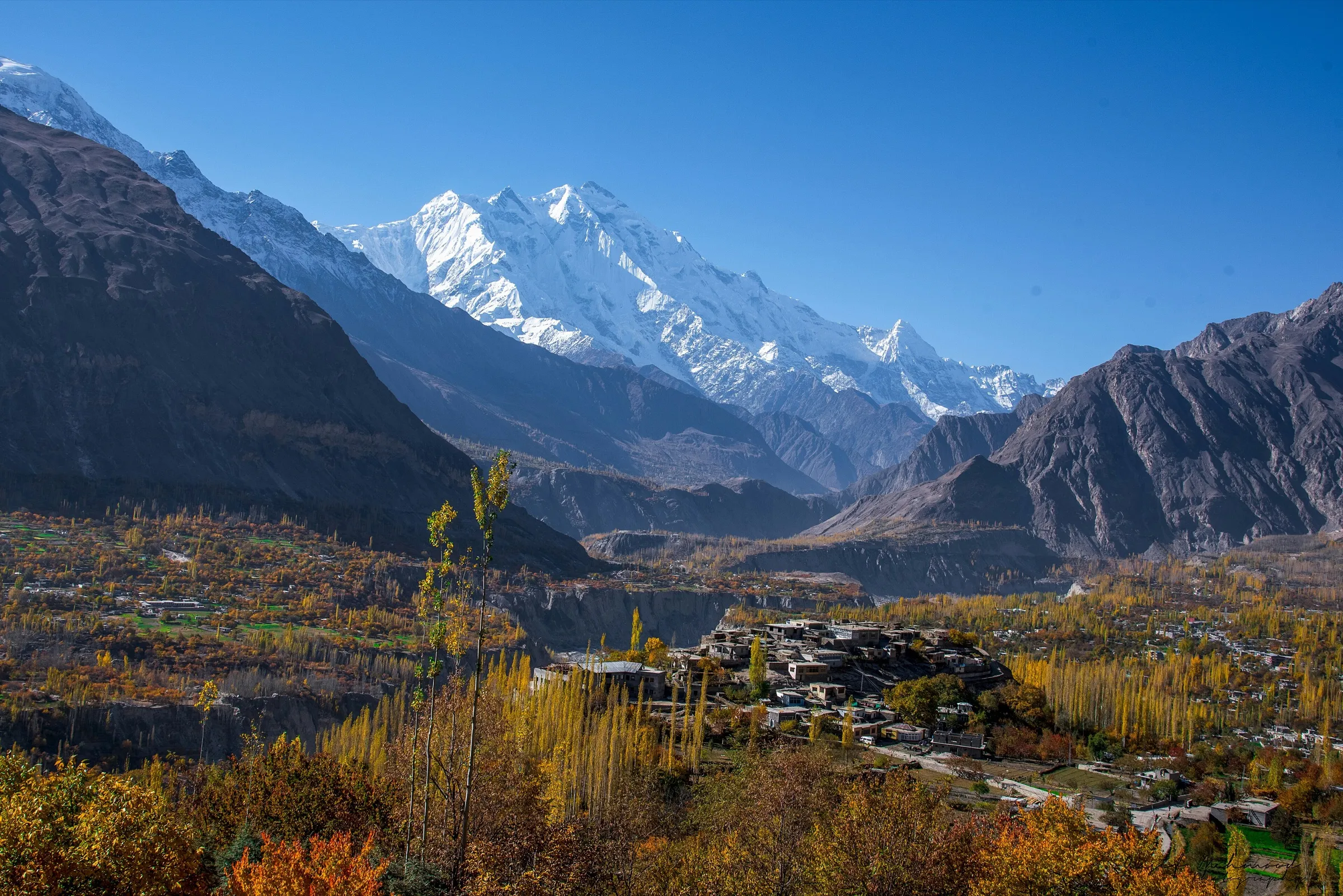 Rakaposhi mit vergletscherter Nordwand über dem Hunza-Tal